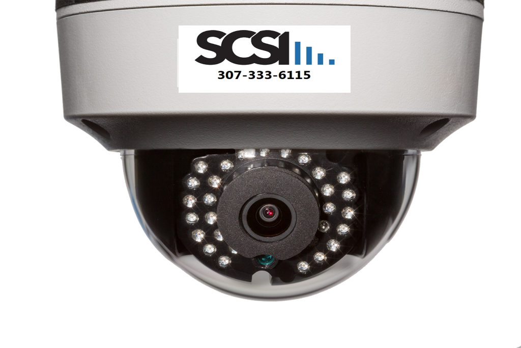 Surveillance Systems